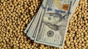 El Gobierno suspenderá las retenciones a los granos para “mejorar la oferta de dólares”