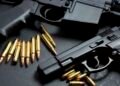 El Senado reanuda discusión sobre la regularización de tenencia de armas y la extensión del programa de entrega voluntaria