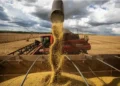 La reducción de retenciones se considera un ‘alivio’ para los márgenes agrícolas, con un costo fiscal ‘acotado’