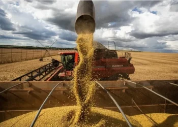 La reducción de retenciones se considera un ‘alivio’ para los márgenes agrícolas, con un costo fiscal ‘acotado’
