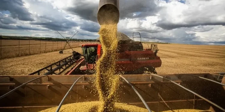 La reducción de retenciones se considera un ‘alivio’ para los márgenes agrícolas, con un costo fiscal ‘acotado’