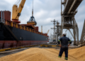 Crecimiento de exportaciones en Argentina: un llamado a la diversificación económica