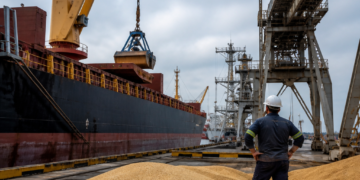 Crecimiento de exportaciones en Argentina: un llamado a la diversificación económica