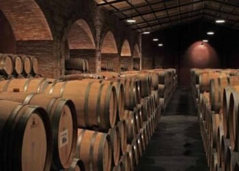 Aumentan los costos para exportar y comercializar vinos: nuevo arancel para las bodegas