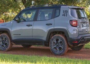 Jeep Renegade Willys 2026: una iniciativa para proteger especies nativas en Patagonia
