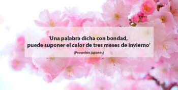 Sabiduría japonesa: “El árbol que crece demasiado rápido se quiebra con la primera tormenta”