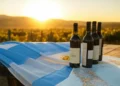 Incremento en las exportaciones de vino argentino: más volumen, pero menores ganancias por la caída de precios