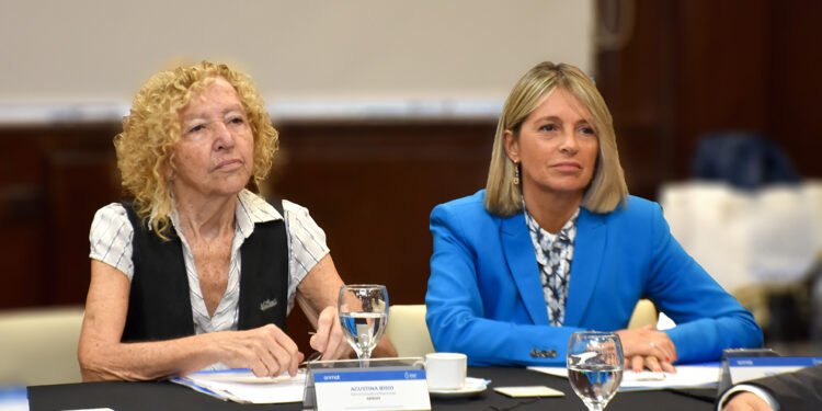 Indagatoria por el fentanilo: ex funcionarias piden libertad bajo fianza