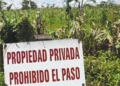 Desalojos exprés y cambios en alquileres: impactos del proyecto de Inviolabilidad de la Propiedad Privada