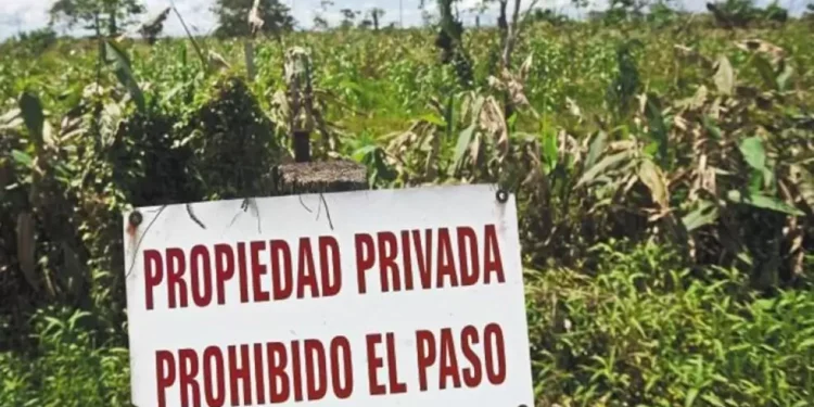 Desalojos exprés y cambios en alquileres: impactos del proyecto de Inviolabilidad de la Propiedad Privada