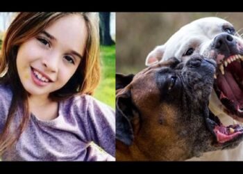 Un perro atacó a una niña de 5 años en la playa de la Patagonia y la comunidad clama por justicia: ‘Perejil es inocente’