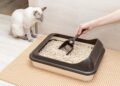 Veterinarios aseguran que la falta de uso del arenero en gatos tiene explicaciones más profundas
