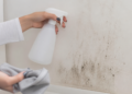 Uso del agua oxigenada en las paredes: propiedades y recomendaciones de expertos