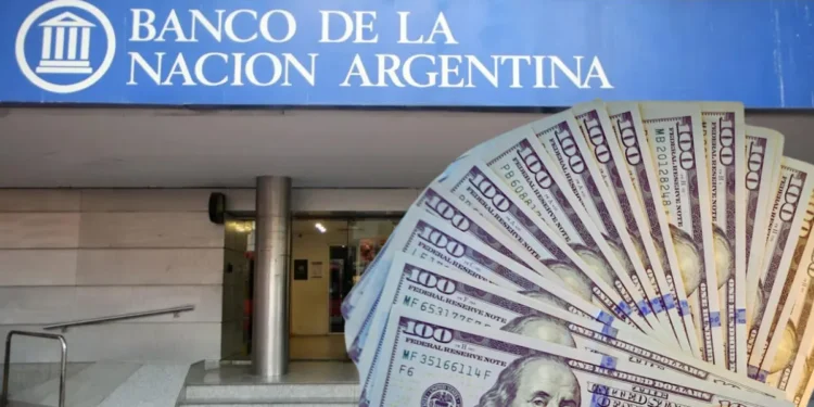 Cotización del dólar: valores del oficial y otras variantes cambiarias al 21 de agosto