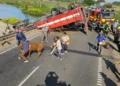 Accidente de camión con ganado en Rosario: cinco detenidos por robo