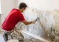 Expertos en pintura advierten sobre el tratamiento de las humedades