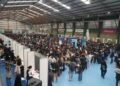 La dinámica del empleo formal en una economía estancada: un análisis de la crisis actual