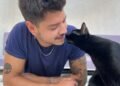 Consejos para una adopción responsable de gatos: la elección debe ser del felino