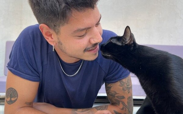 Consejos para una adopción responsable de gatos: la elección debe ser del felino