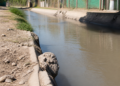 Una niña de un año fallece ahogada tras caer a un canal de riego en Guaymallén